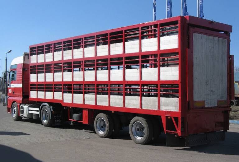 Транспортировать скота, картонные коробки С вещами дешево из Армавира в Москву